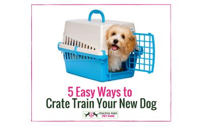 To Crate or Not To Crate – That is the Question!
