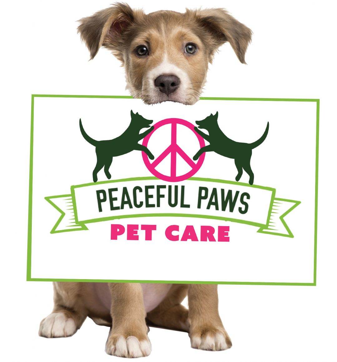 Contact Us Peaceful Paws Pet Care