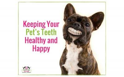 Keeping Your Pet’s Teeth Healthy and Happy
