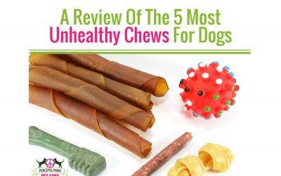 A Review Of The 5 Most Unhealthy Chews For Dogs