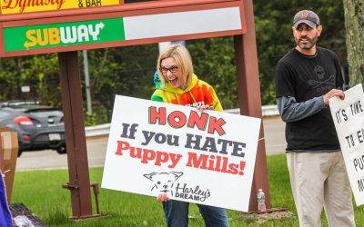 Where is your dog’s Momma?