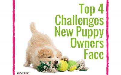 Top 4 Challenges New Puppy Owners Face