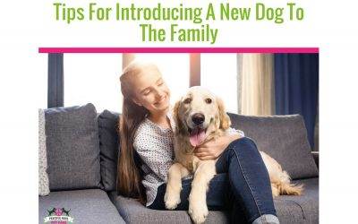 Tips For Introducing A New Dog To The Family