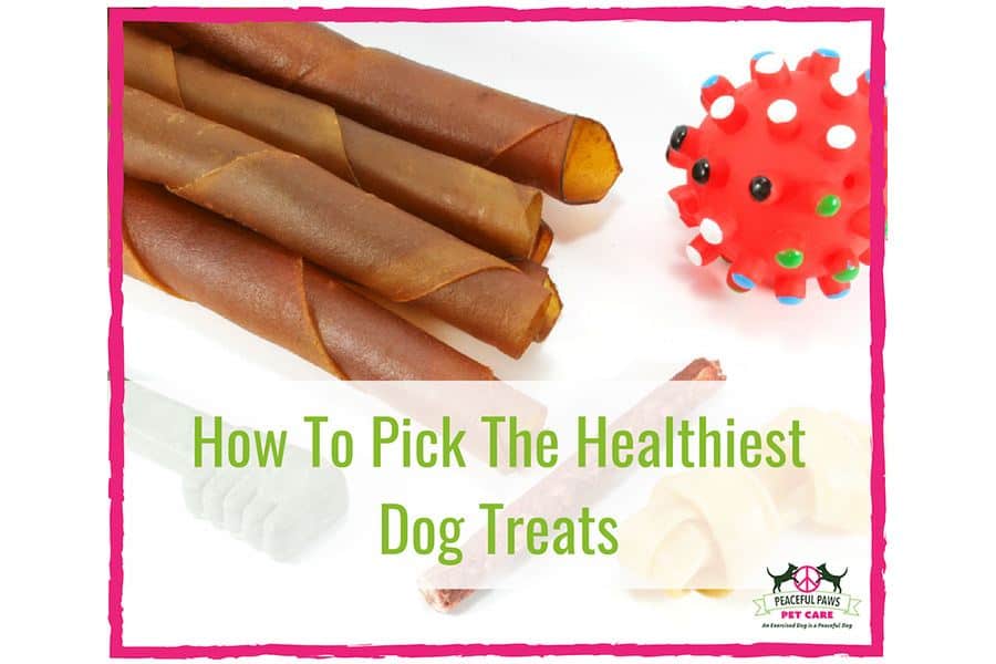 How To Pick The Healthiest Dog Treats