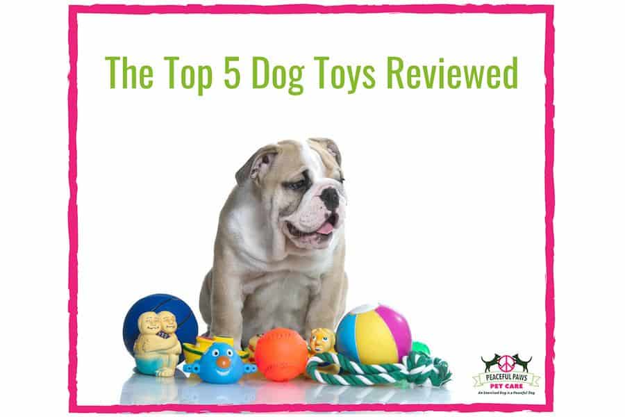 The Top 5 Dog Toys Reviewed