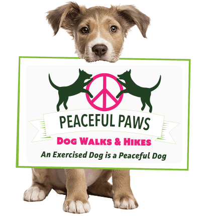 Peaceful Paws Logo