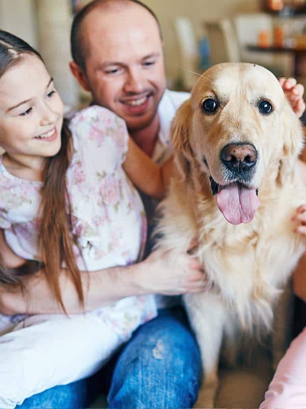 Family Dog Fundamentals