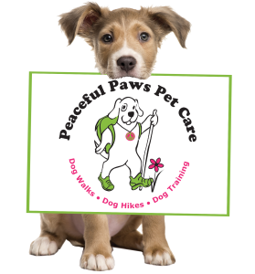 2023 Peaceful Paws Dog Walks Dog Hikes Dog Training