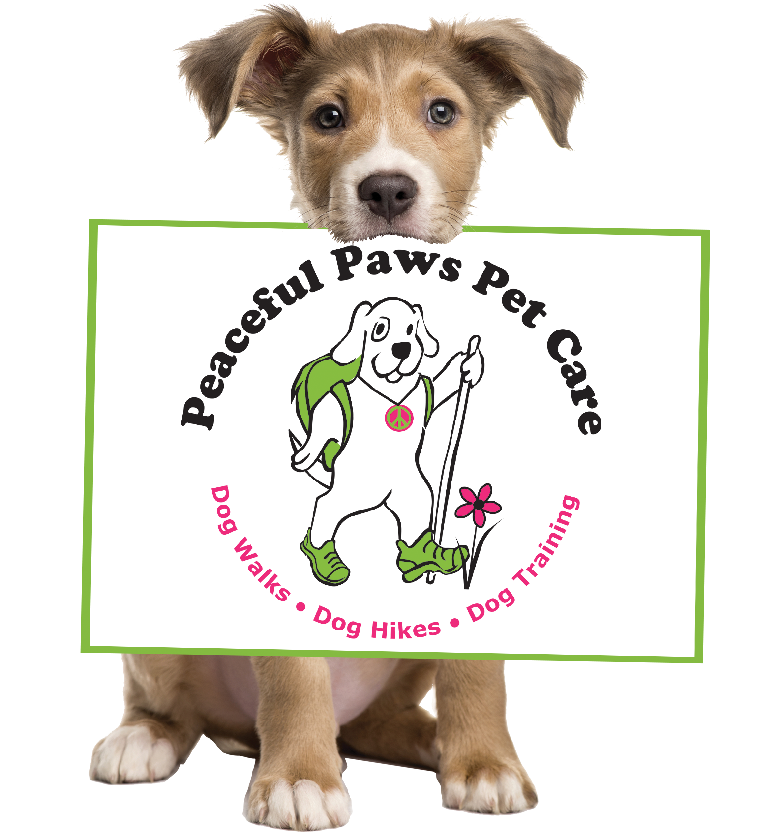 2023 Peaceful Paws Dog Walks Dog Hikes Dog Training